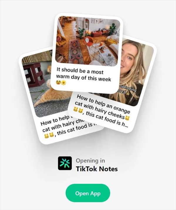 挑战Instagram！TikTok确认开发照片分享应用